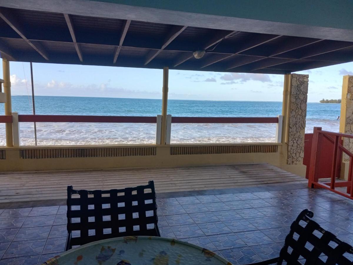 Selva Boutique Hotel - Luquillo Oceanfront Retreat - Adults Only Luaran gambar