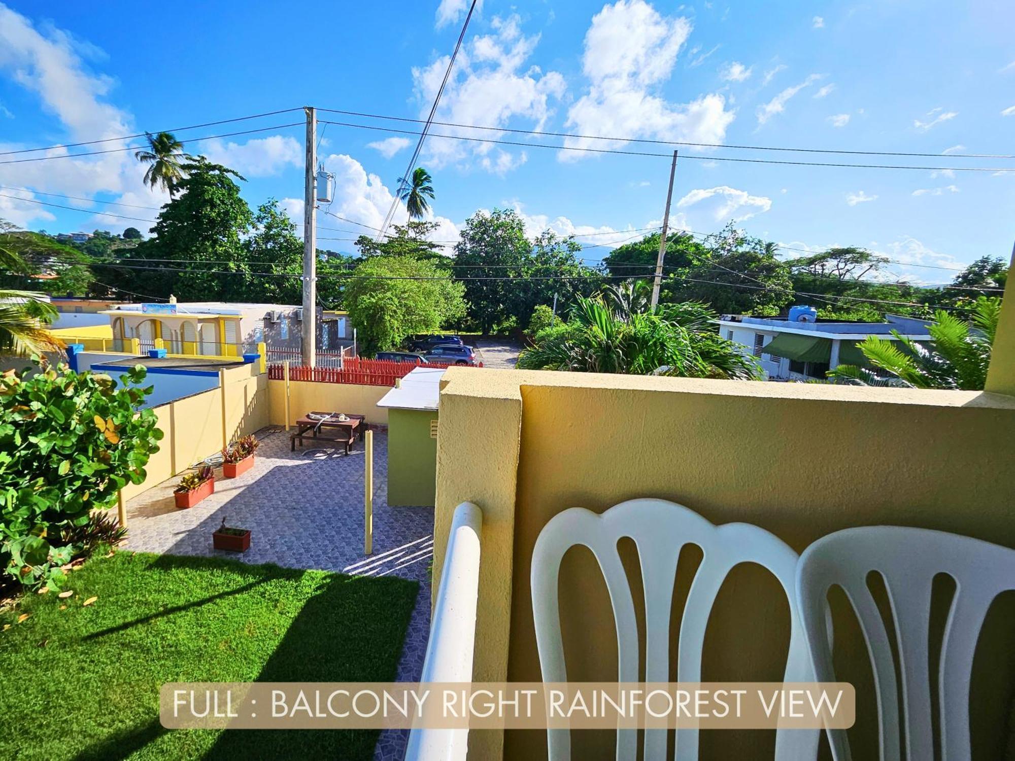 Selva Boutique Hotel - Luquillo Oceanfront Retreat - Adults Only Luaran gambar