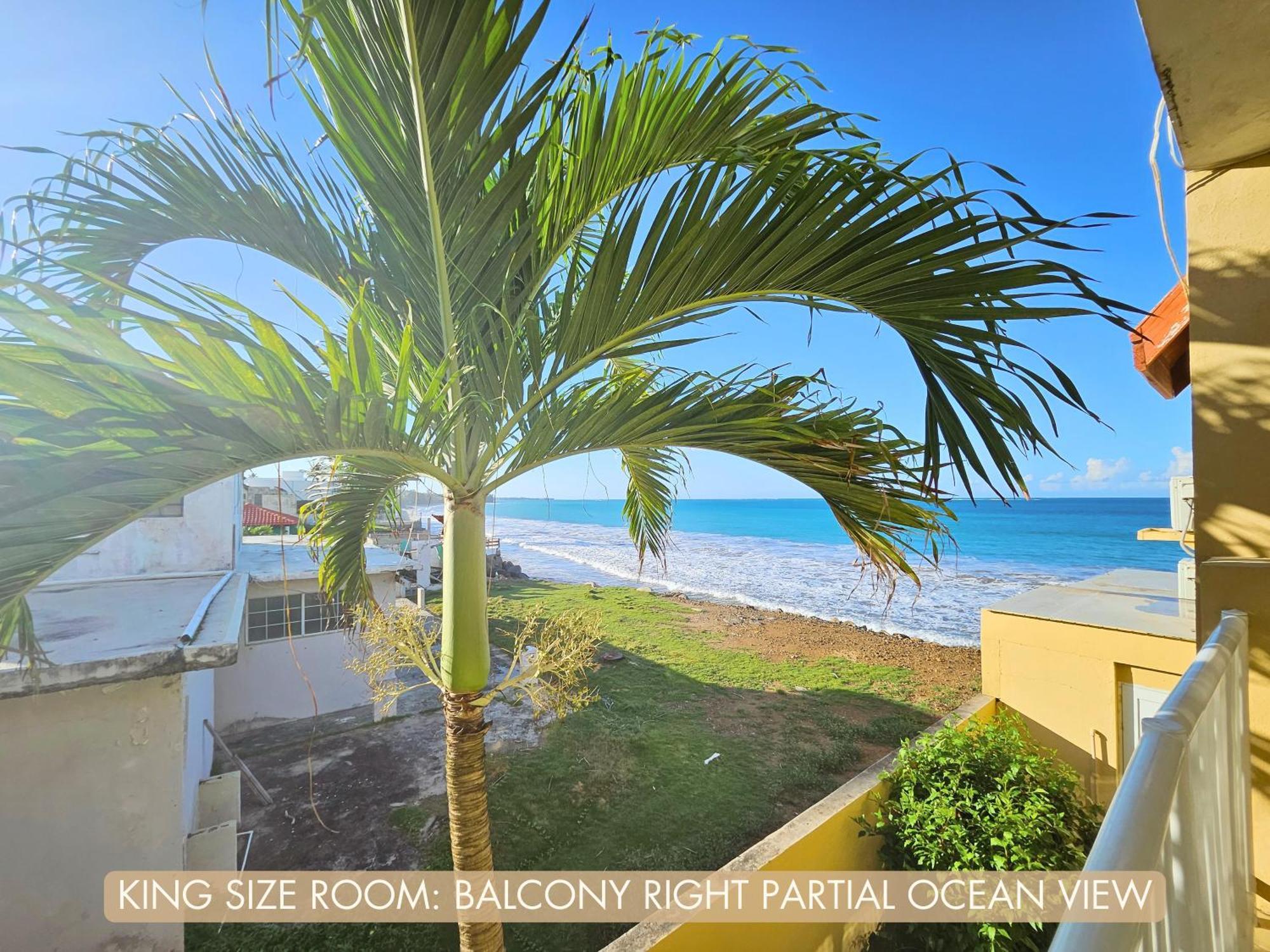 Selva Boutique Hotel - Luquillo Oceanfront Retreat - Adults Only Luaran gambar