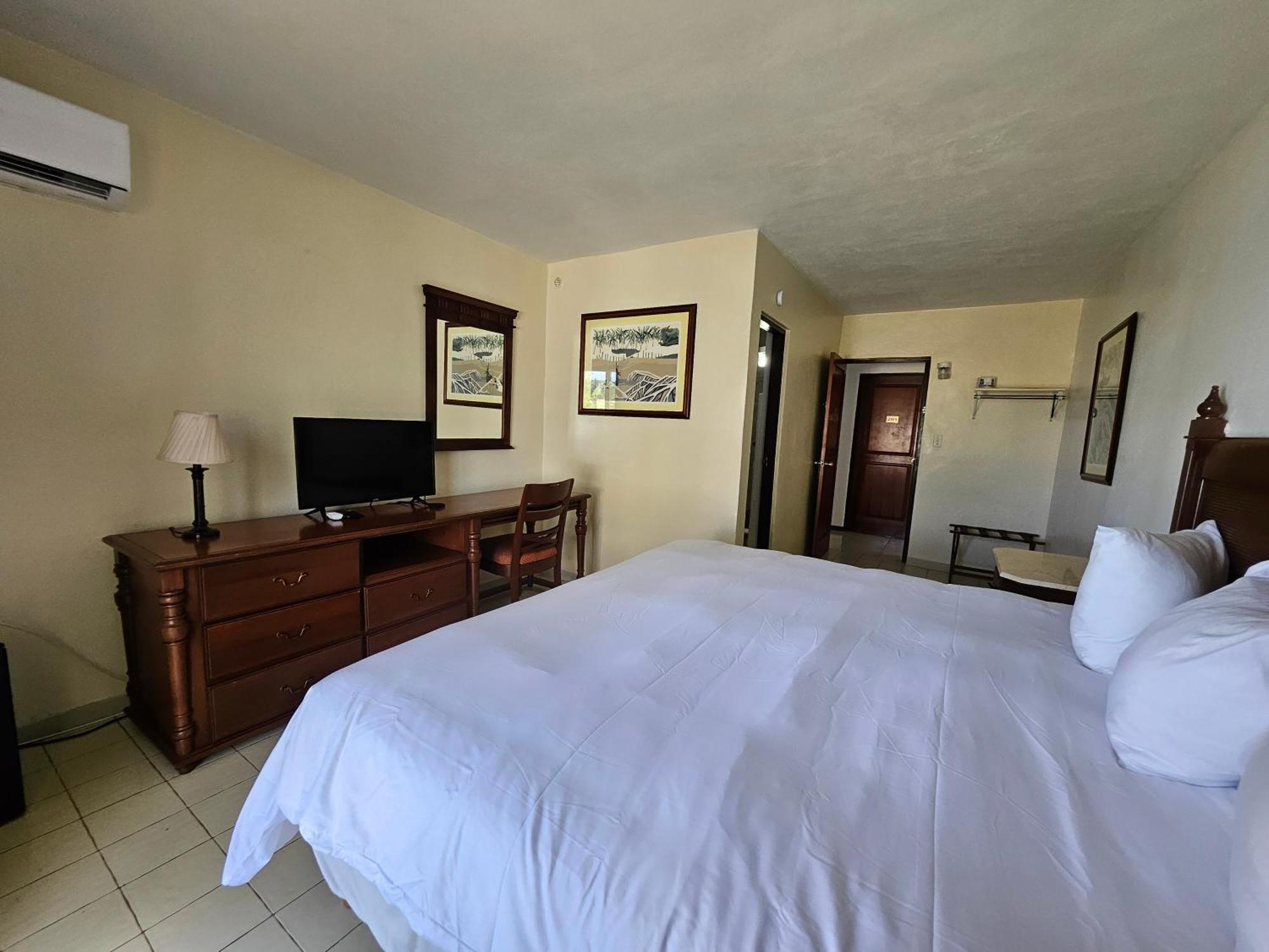 Selva Boutique Hotel - Luquillo Oceanfront Retreat - Adults Only Luaran gambar
